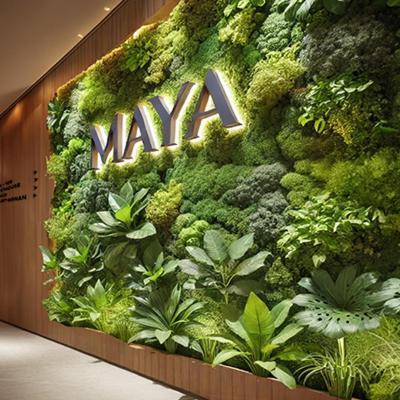 Maya Appartements & Suites 코스네쉬르로아르 외부 사진